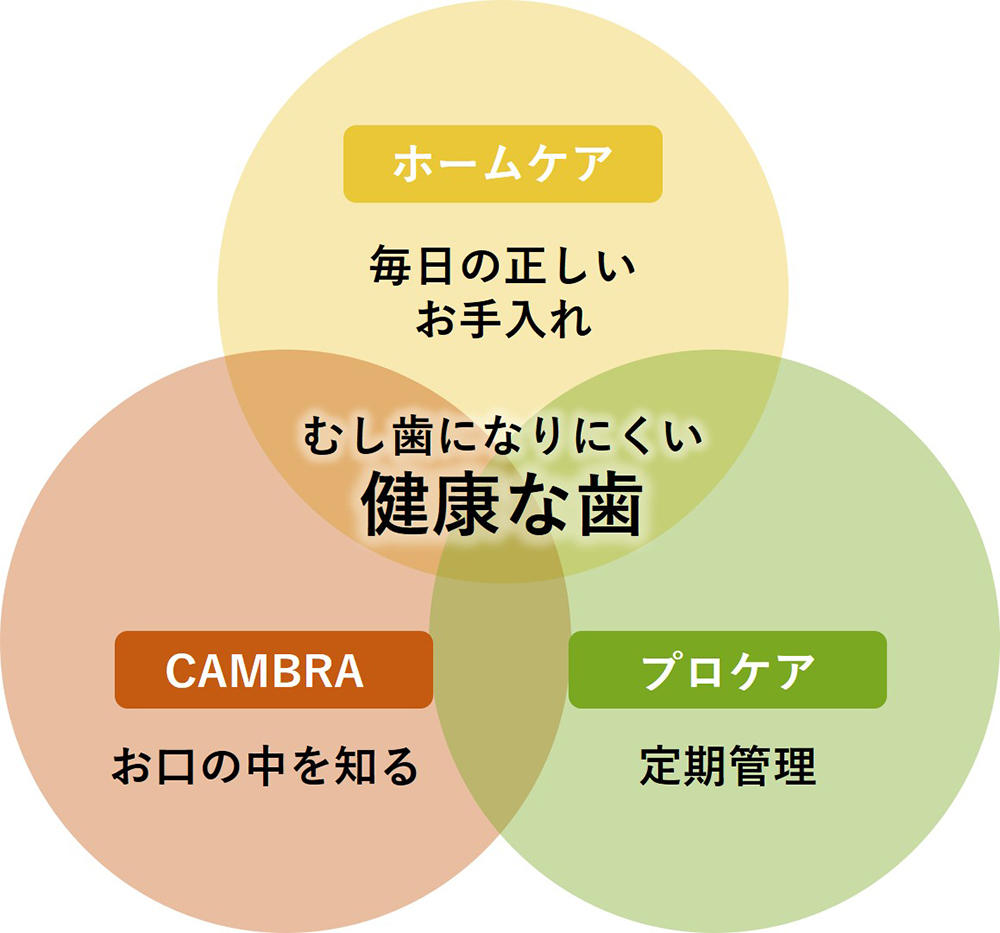 CAMBRA（キャンブラ）システムによるむし歯予防