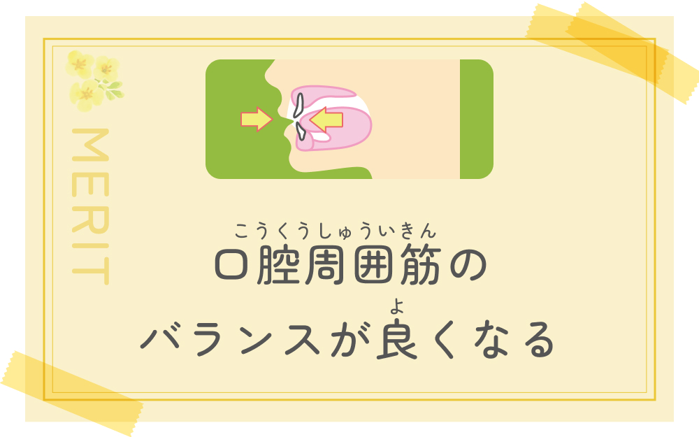 口腔周囲筋のバランスがよくなる
