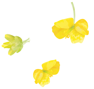 楽しく、一緒に頑張りましょう！